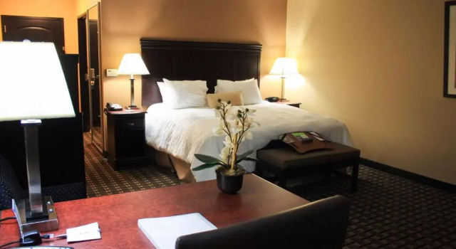 Номер Standard Hampton Inn & Suites Pine Bluff