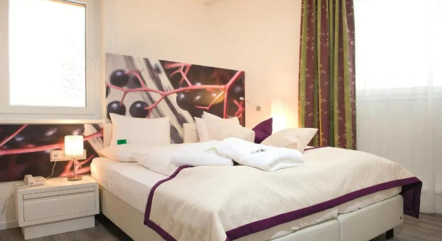 Номер Comfort Hotel Holunderhof
