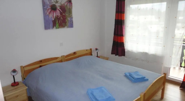 Апартаменты c 1 комнатой Apartments Bor