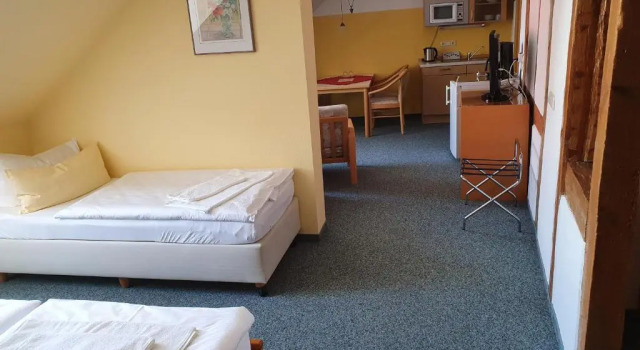 Трёхместный номер Standard Hotel Peenebrücke