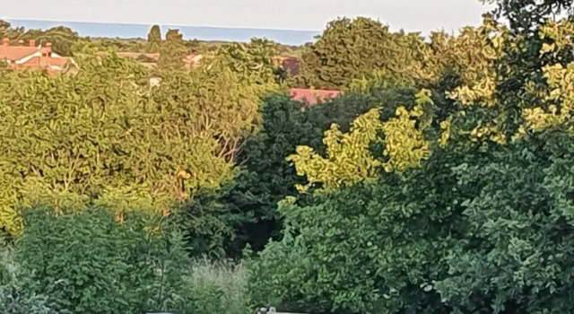 Villa Histra, Забронировать Вилла Виллы Rovinj Riviera, Вилла