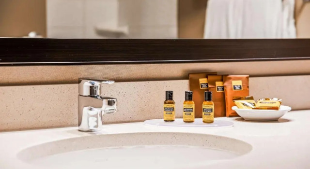 Люкс Best Western PLUS Calgary Centre Inn