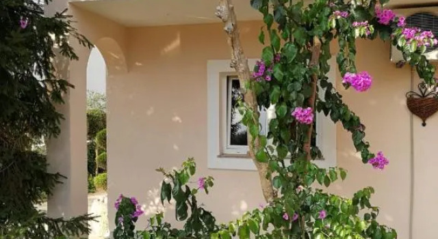 Apartment Ivana