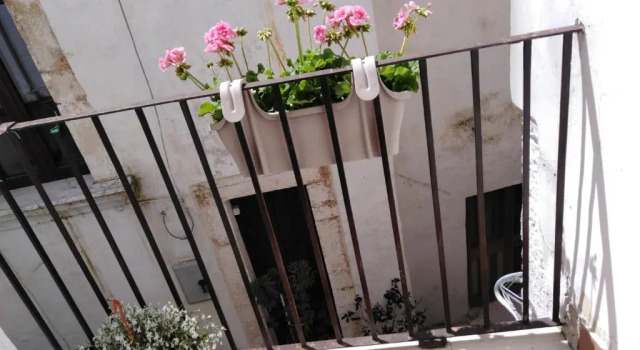 Коттедж Rosa's House