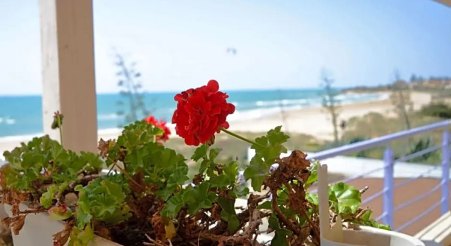 Номер Standard Hotel Mar & Sol