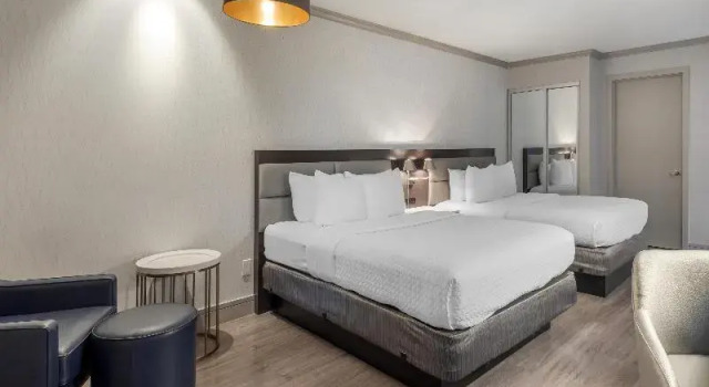Четырёхместный номер Standard Best Western Plus Executive Suites