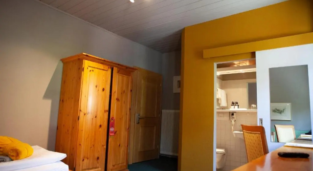 Номер Economy Walliserhof