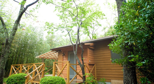 Yufuin Tsukahara Kogen Sanso Donguri, Prenota Casa vacanze Hiji Oita