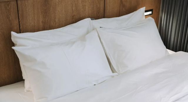 Двухместный номер Standard Qvist Hotel