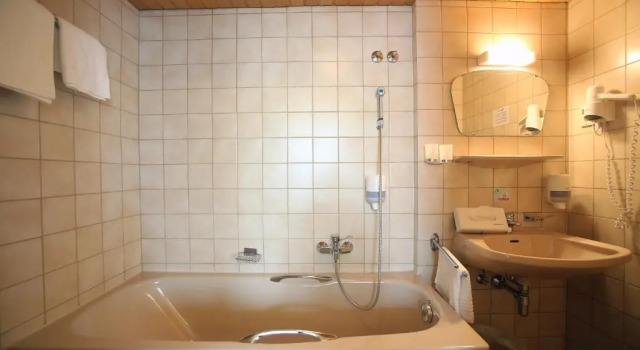 Номер Economy AKTIVHOTEL Weisser Hirsch