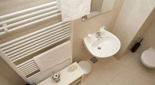 Camera Standard Paw Rooms