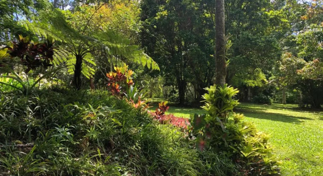 Коттедж Honeybee House Cottage in the Rainforest