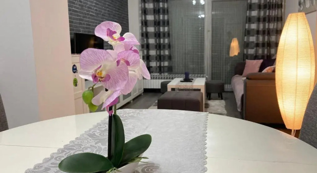 Dream Day Holiday House, Prenota Hotel Jastrebarsko Zagabria