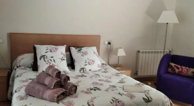 Номер Standard Petit Hotel Rural Els Pampols