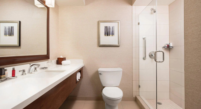 Двухместный номер Standard Chicago Marriott Naperville