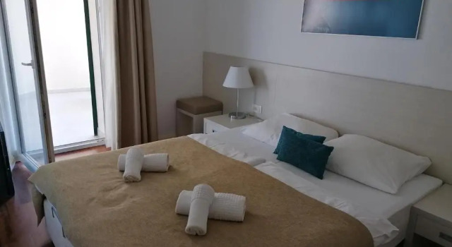 Двухместный номер Standard с балконом Hotel Borovnik