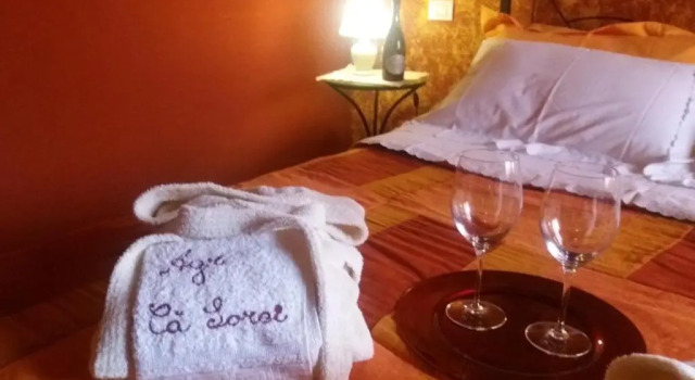 Номер Deluxe Agriturismo Cà Sorci