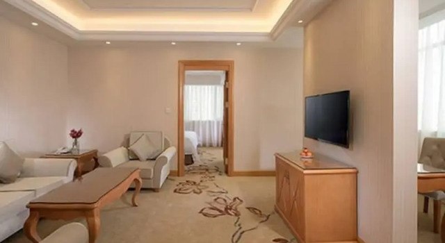 Люкс Deluxe Vienna Hotel Longchuan
