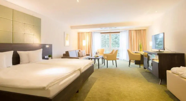 Двухместный номер Superior Hotel Celler Tor