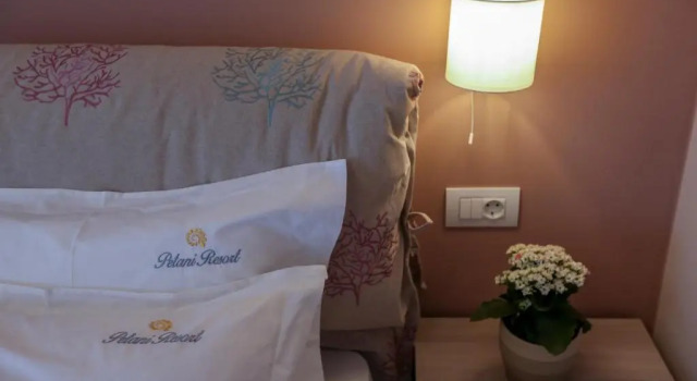 Двухместный номер Deluxe Цокольный этаж Petani Resort