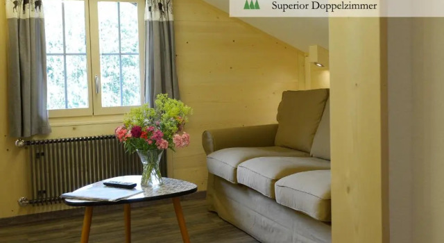 Camera doppia Superior Hotel Waldrand