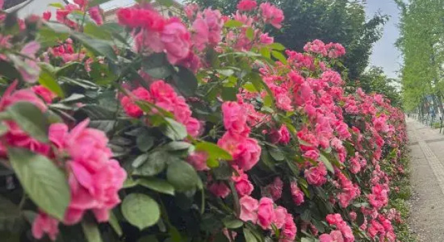Chang chun Garden Hotel (Chengdu Shuangliu International, Dongsheng Town)