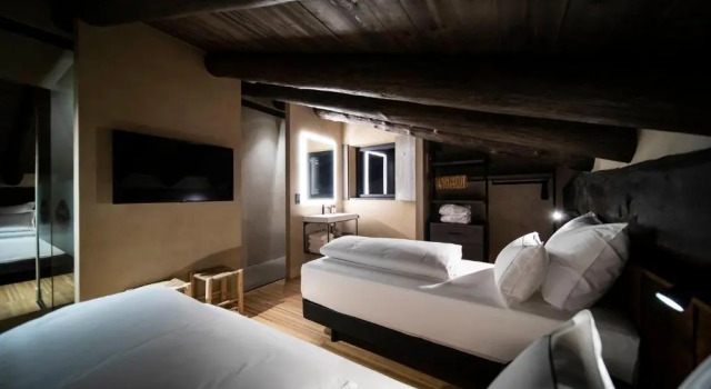 Двухместный номер Standard Les Pardines 1819 Mountain suites & SPA