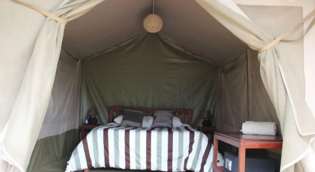 Wildebeest Eco Camp, Book Campground Hotels in Nairobi with a Pool, Swimming Pool