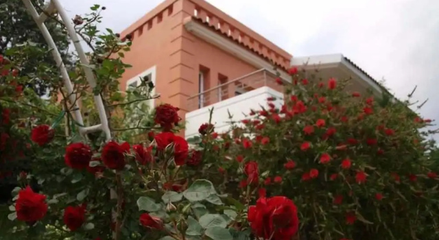Номер Classic Thalassa Hotel