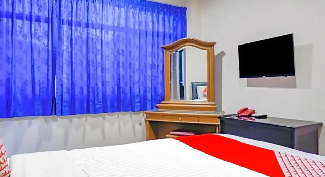 Люкс OYO 117 Blueberry Homestay