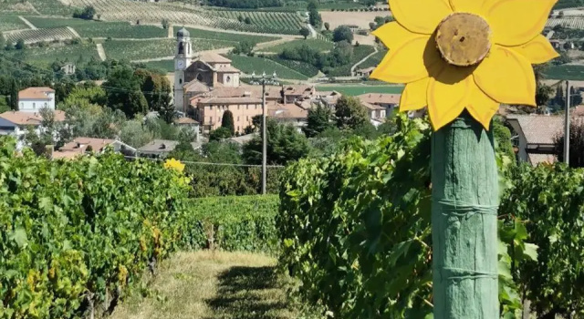 Agriturismo Mondo, Prenota Hotel Bubbio Monferrato