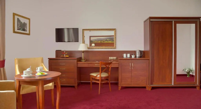 Номер Economy Hotel Buczyński Medical & SPA