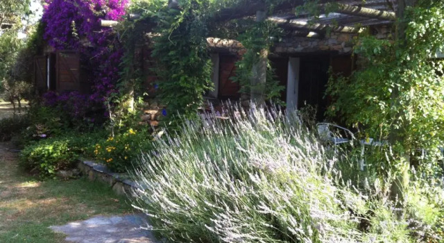 Коттедж с 3 комнатами Les jardins de Foata