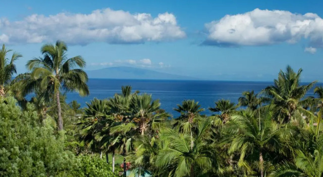 Люкс с видом на океан Hotel Wailea, Relais & Châteaux