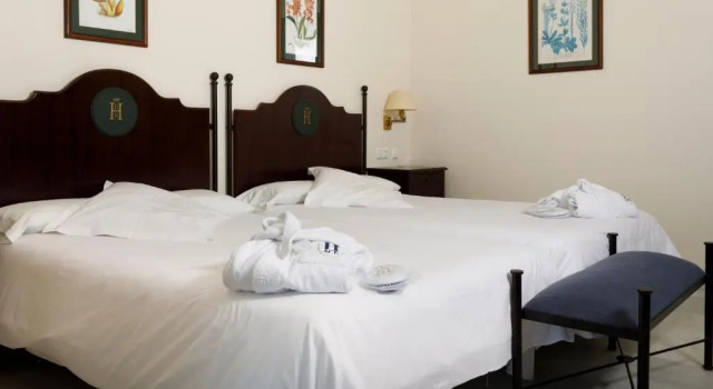 Трёхместный номер Standard Hotel Duque de Najera