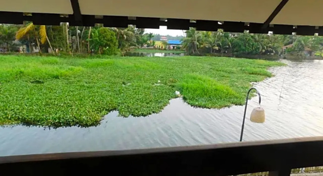 Номер Standard Paloma Backwater Resorts