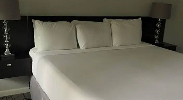 Люкс Deluxe Midtown Hotel New Orleans