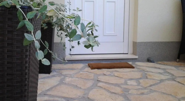Апартаменты Apartment Laura