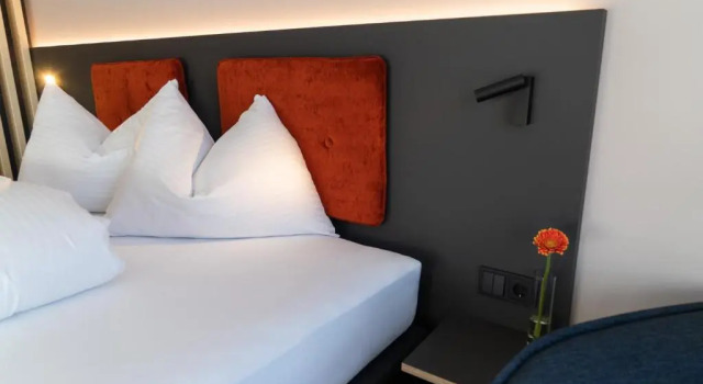 Одноместный номер Standard ALPSTADT LIFESTYLE Hotel
