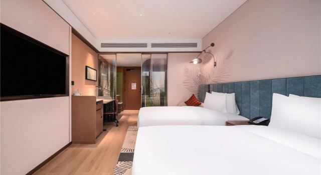 Двухместный номер Standard Hilton Garden Inn Xinyang East Railway Station