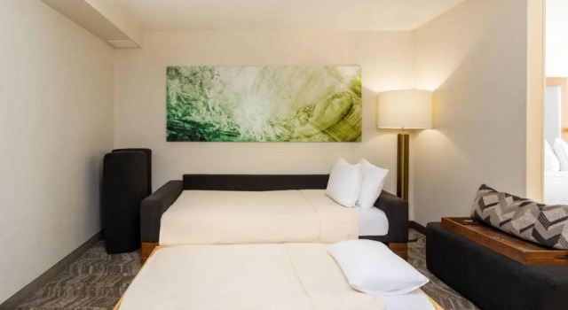 Люкс SpringHill Suites by Marriott Miami Airport South Blue Lagoon Area