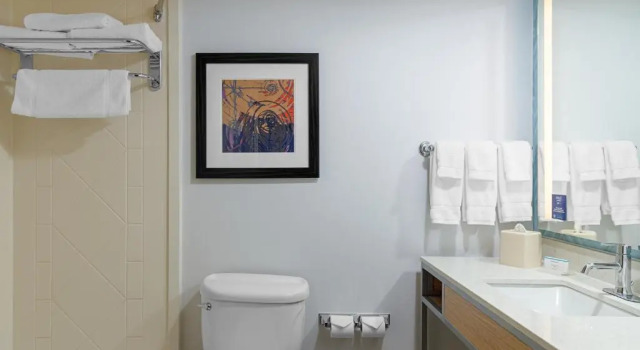 Четырёхместный номер Premium Hilton Garden Inn Fredericksburg