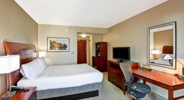 Номер Standard Hilton Garden Inn Tampa Northwest/Oldsmar