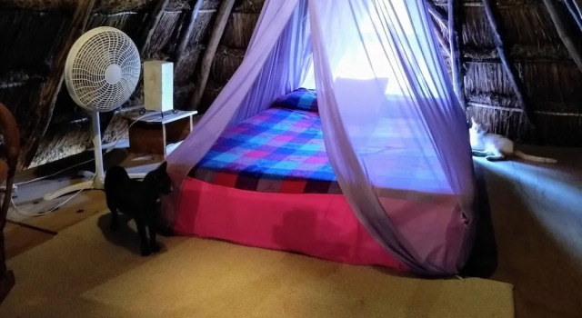 Коттедж Standard Casitas Kinsol
