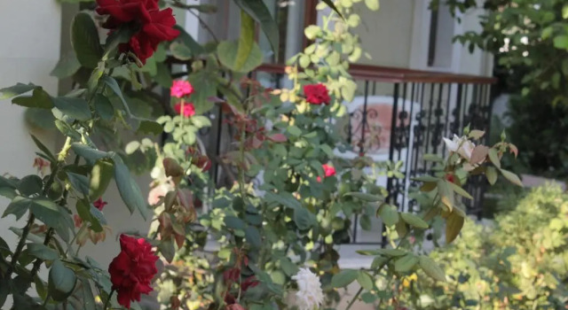 Номер Standard Crescent Hasirci Hotel