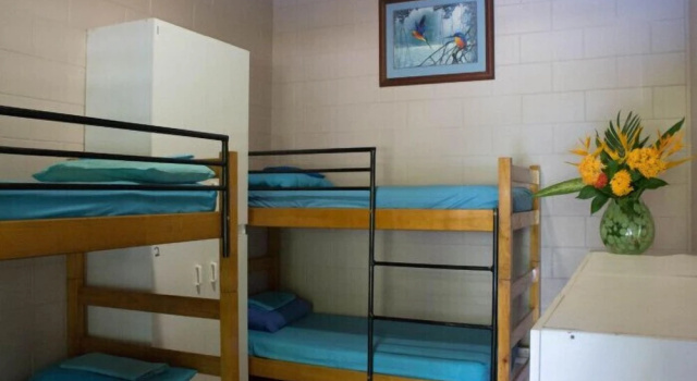 Кровать в общем номере Dougies Backpackers Resort