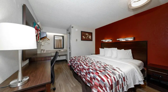 Двухместный номер Standard Red Roof Inn Tampa - Brandon