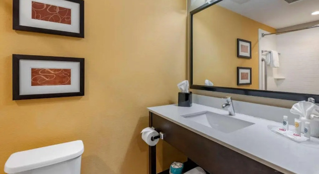 Люкс Comfort Suites Fort Lauderdale Airport South & Cruise Port