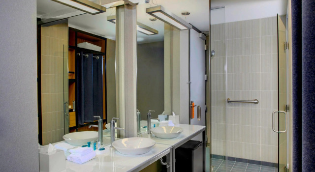 Двухместный номер Standard Aloft by Marriott Austin at The Domain