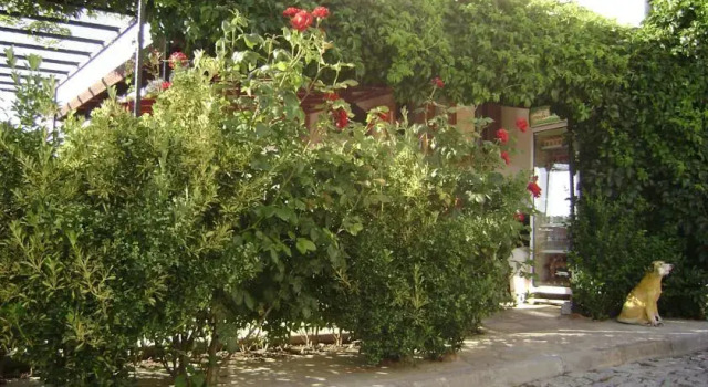 Adakale Konuk Evi